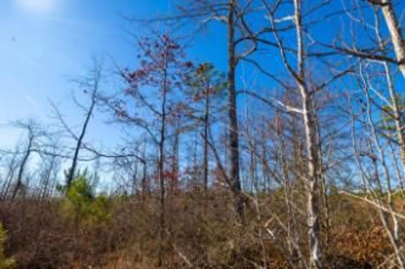 MCKINNON TRACT 15-10