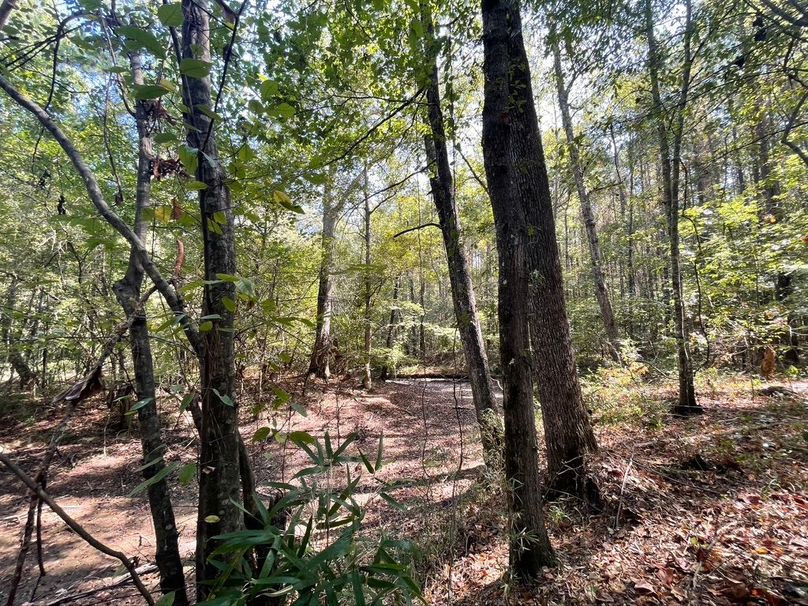 E925A69D-9D62-47FE-9FFD-8E3C941BDB0D_1_105_c