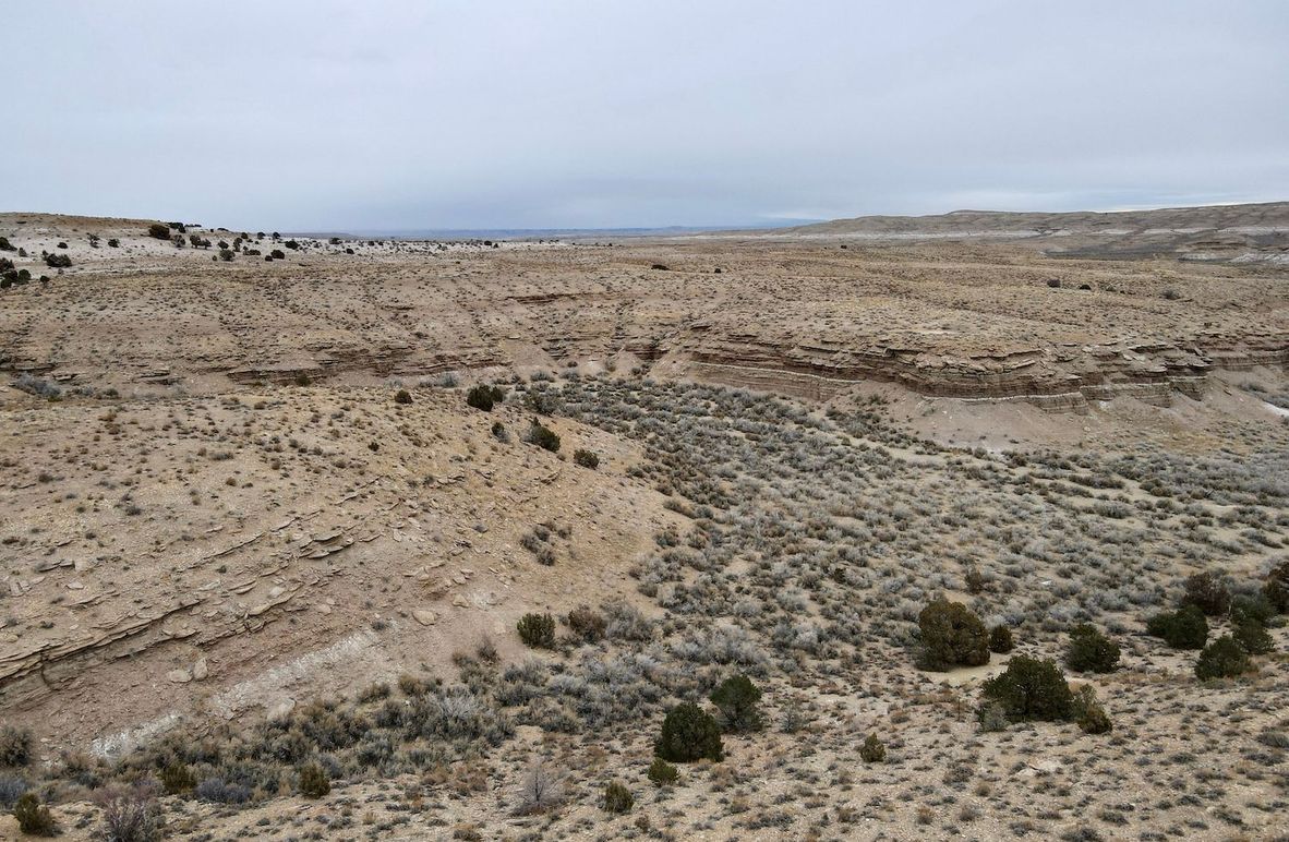 dji_fly_20240205_113626_273_1707158239499_photo