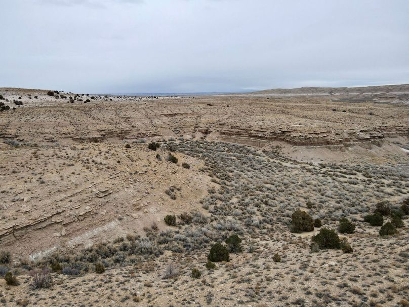 dji_fly_20240205_113626_273_1707158239499_photo