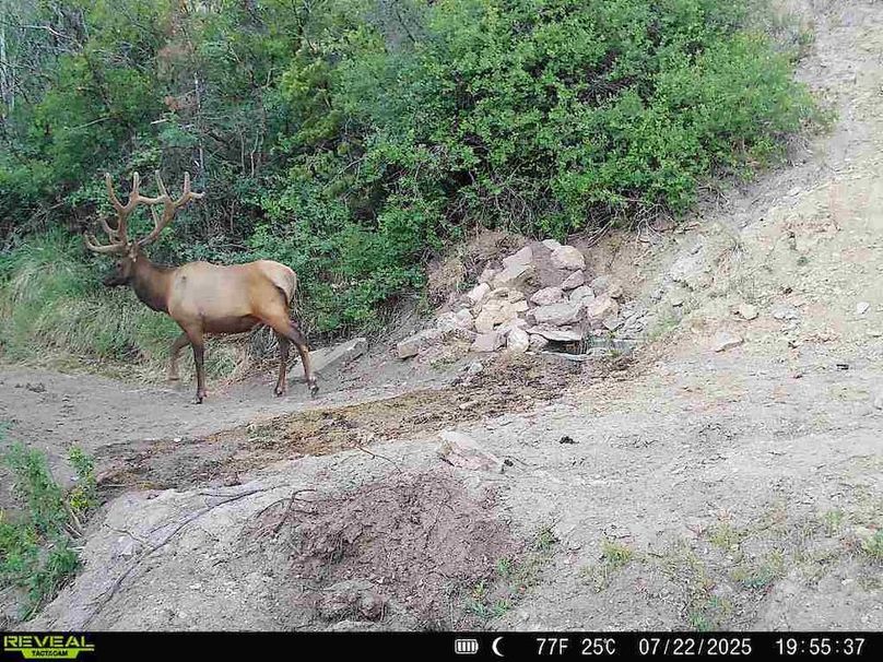 860516063676799-100-3-07222025195536-V-W1010398