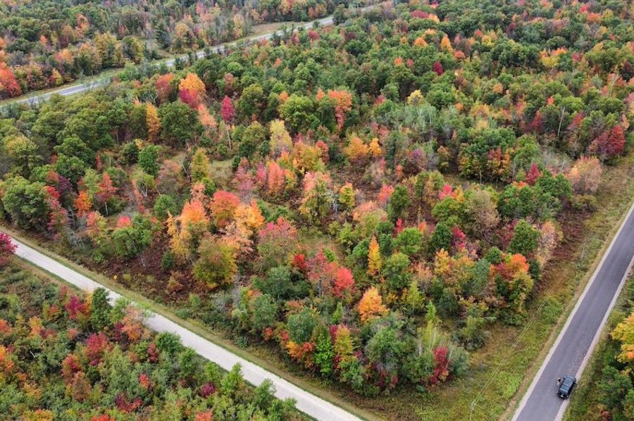 dji_fly_20230927_094116_694_1695826204384_photo_optimized
