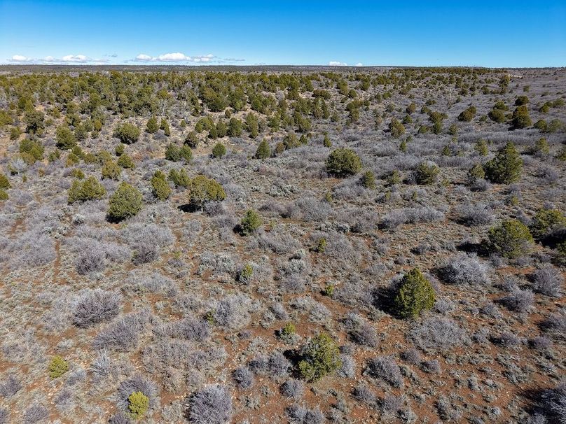 DJI_20260303123529_0074_D