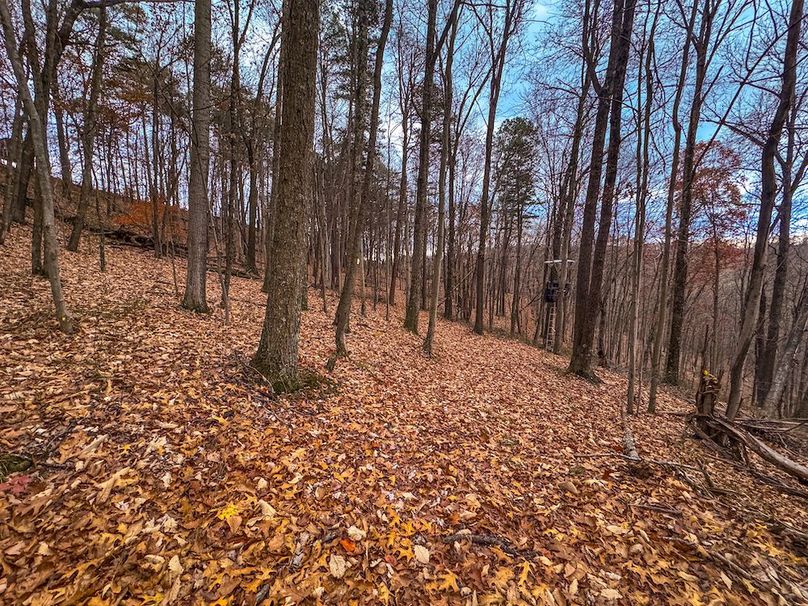 Ritchie, WV 14.081 AC Currey-25