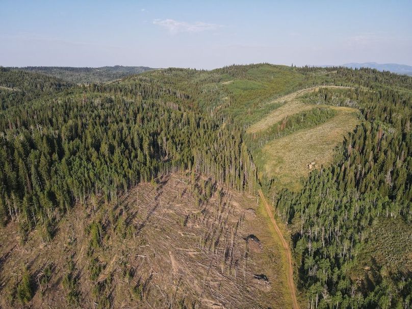 dji_fly_20240717_075320_535_1721224508521_photo 2