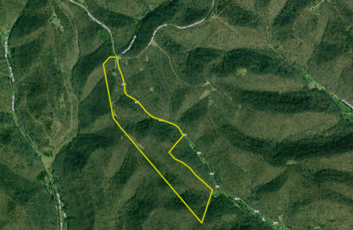 Screenshot 2024-03-14 at 3.07.44 PM