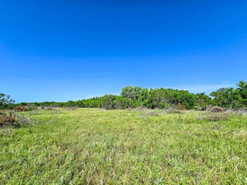 Copy of 20250729_105228