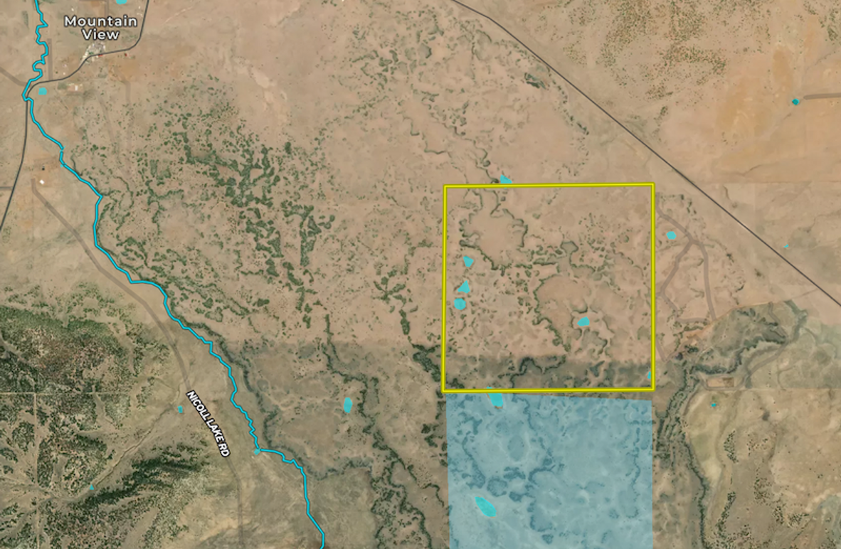 Screen Shot 2024-06-21 at 8.06.26 AM