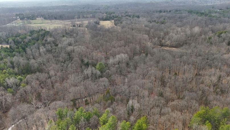 DJI_20250314170242_0264_D