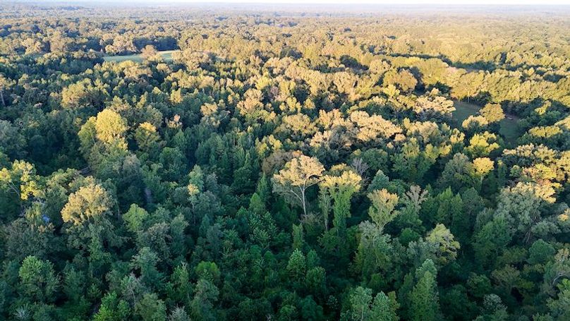 Hinds Co - 78 - Newman-37