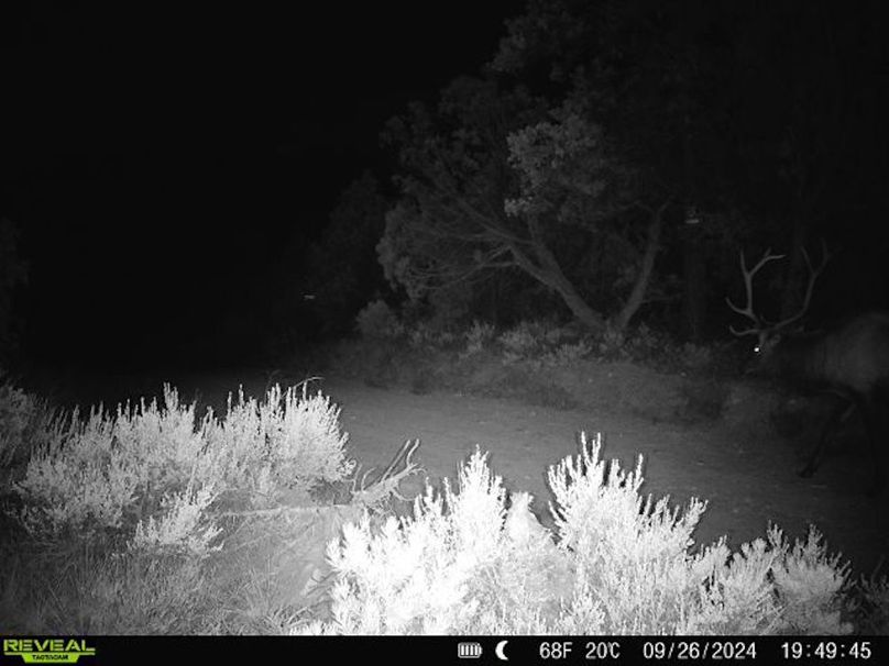 860516060102641-100-2-09262024194944-V-W1000103