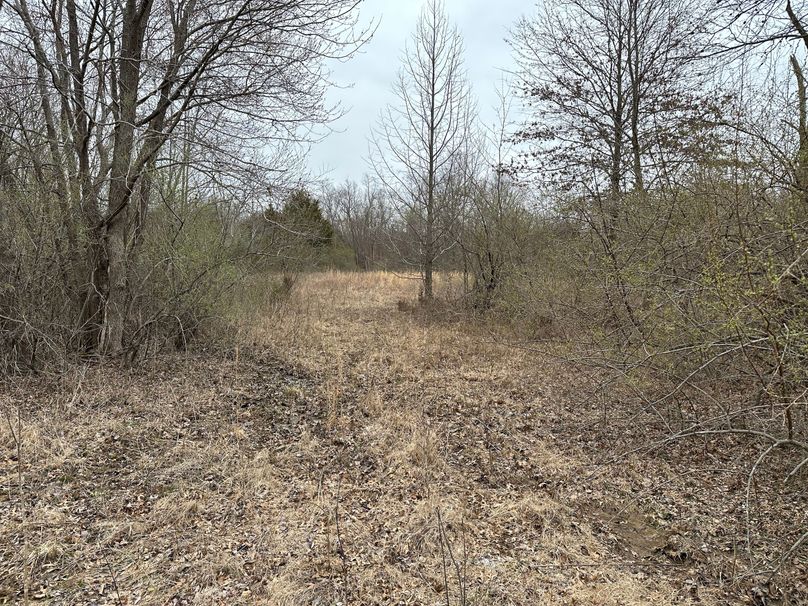 open areas in middle connected to each other