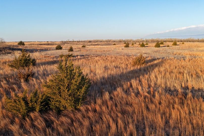 DJI_20260311082723_0542_D