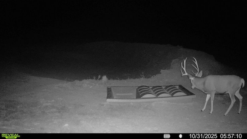 016578004267347-100-3-10312025130417-HD-SYFW00116