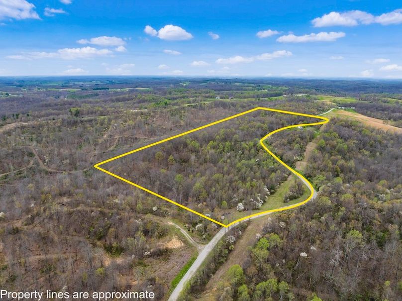 13-z 9870 Wilbur008-Edit