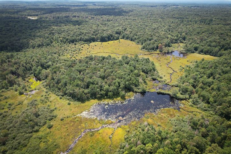 Oswego_100_Roof_Photos_19