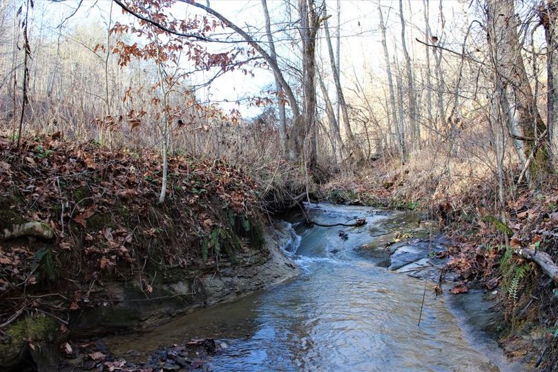 011 crisp mountain stream near the middle of the property