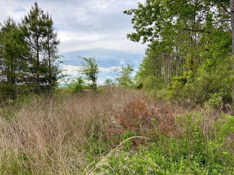 5D5791AC-F33D-4D28-8041-F46E37B7630F_1_105_c