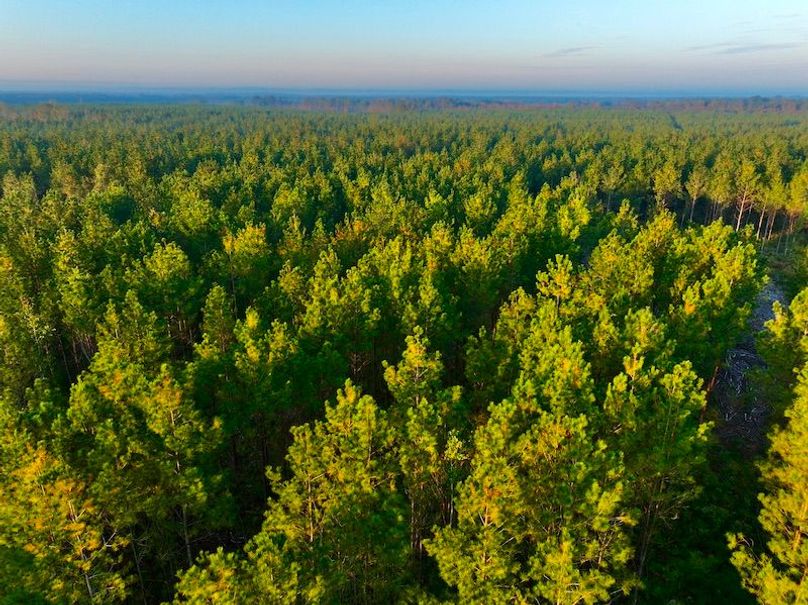 FC09CCEF-5C48-4092-8F8B-67A203FBA338_1_201_a