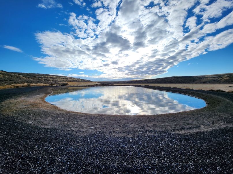 #23 irrigated pond w_bass