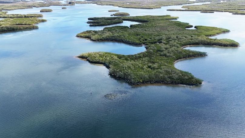 17.17ac, Citrus, Josiah Ronco16