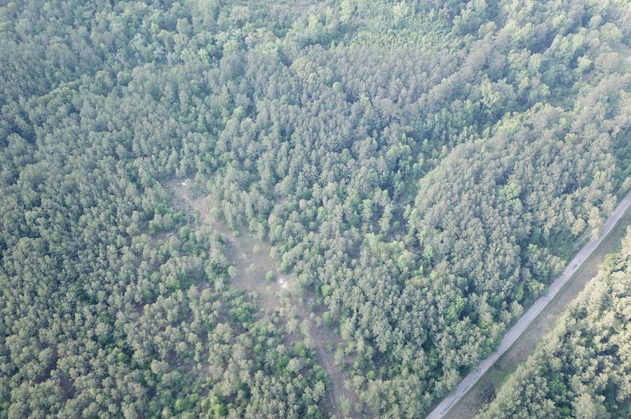 DJI_0637