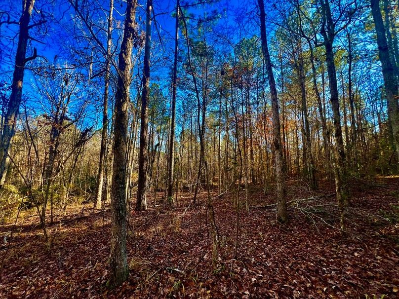 75CCA37E-D72A-4A11-9CDB-E0ACAB453468_1_201_a