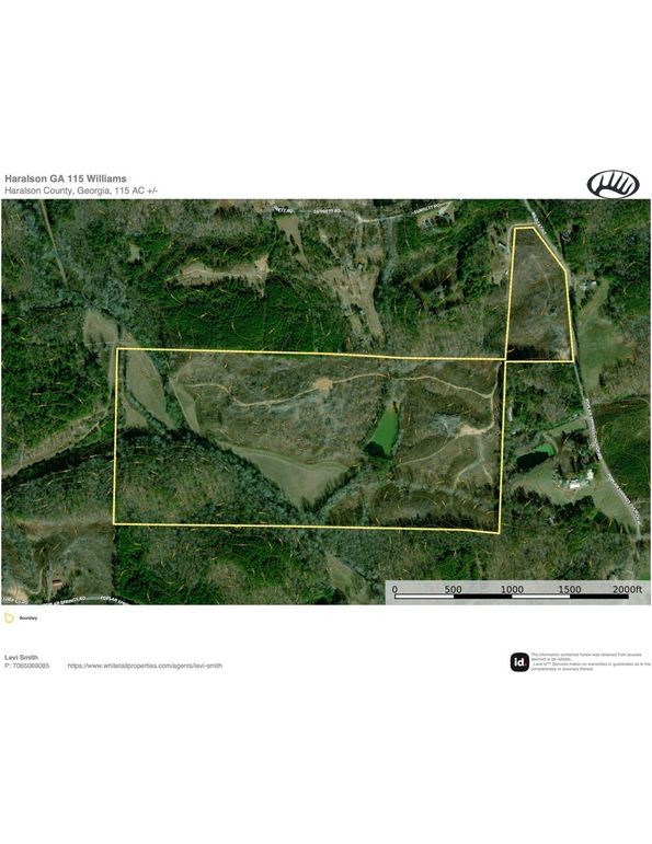 Haralson GA 115 Williams topo map