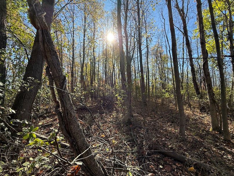 Wayne_18.11_Koehler Photo 26