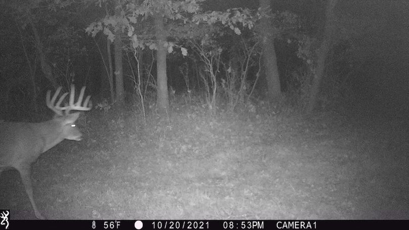 Sauk 174 Trailcam - 50