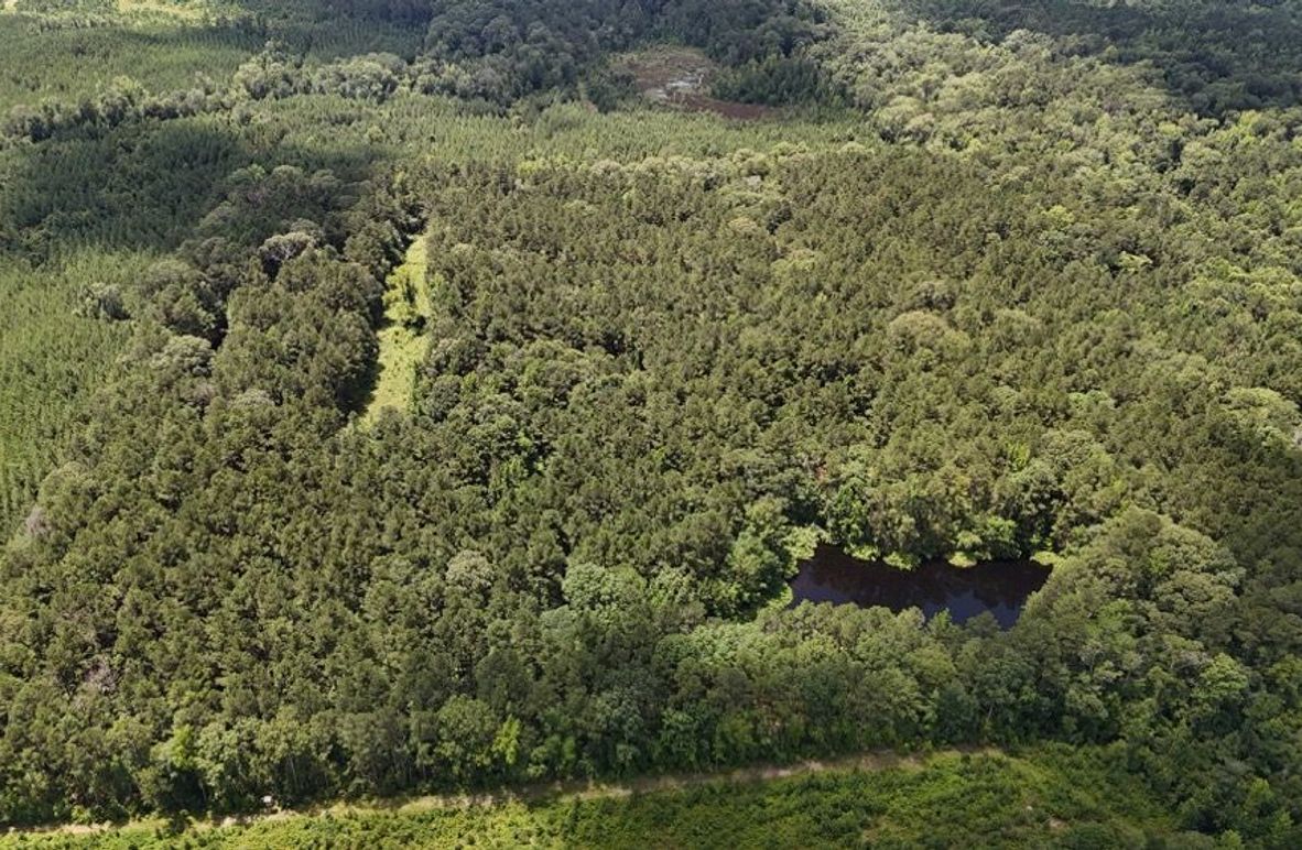 DJI_20250625011516_0673_D