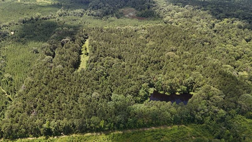 DJI_20250625011516_0673_D