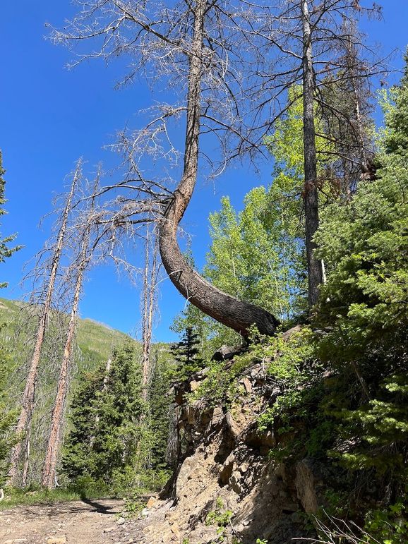 7 photo sanpete 240