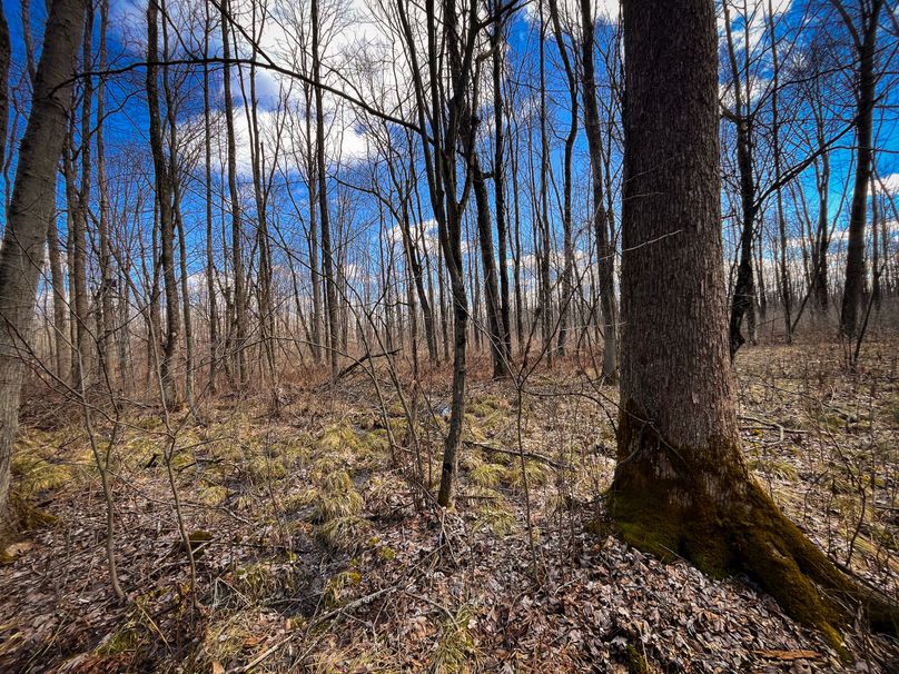 Oswego_165.52_Lashomb_Photos_11