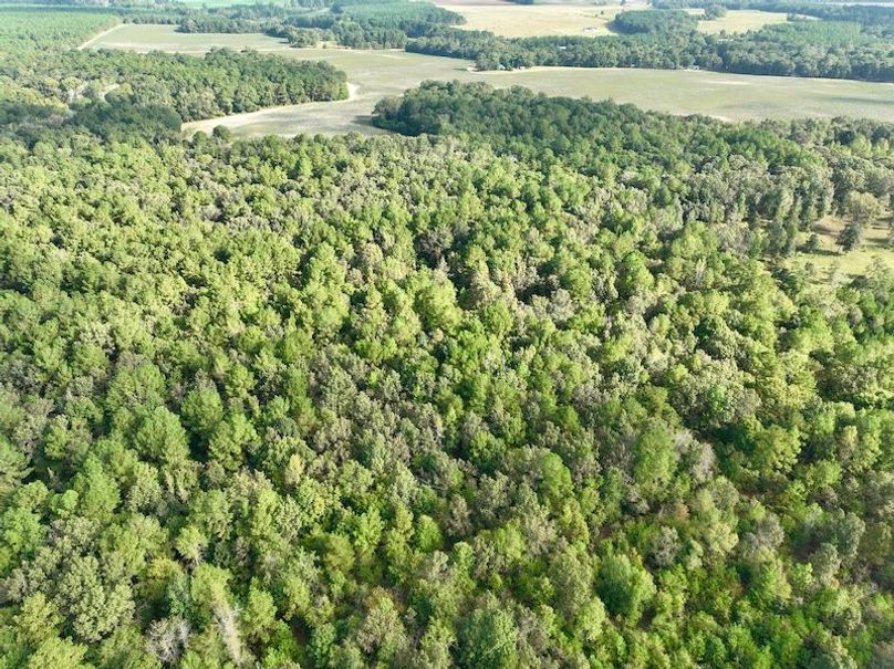 dji_fly_20251007_101010_230_1759846413721_photo