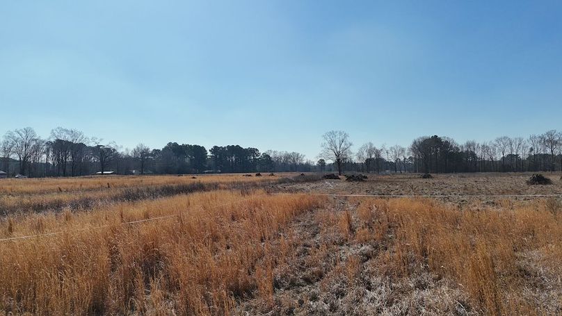 dji_fly_20260206_113112_0251_1770395771980_photo