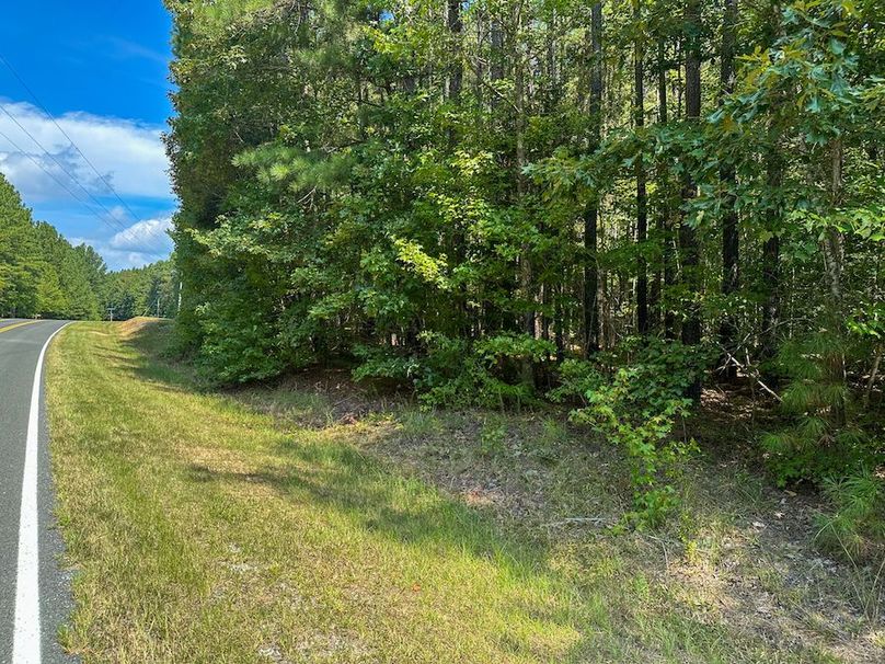 Large Wooded Lot For Sale In A Gated Community Near Mayo Lake