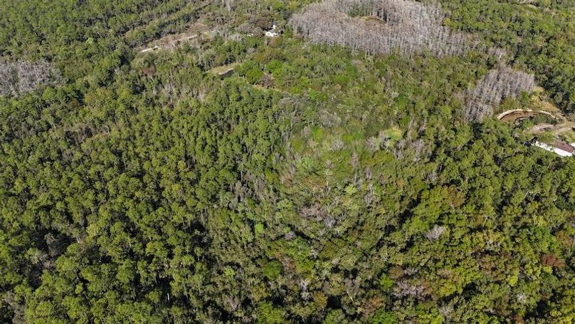 DJI_20260108102453_0110_D