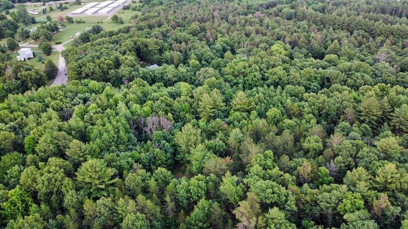 dji_fly_20250624_195732_900_1750813721081_photo_optimized