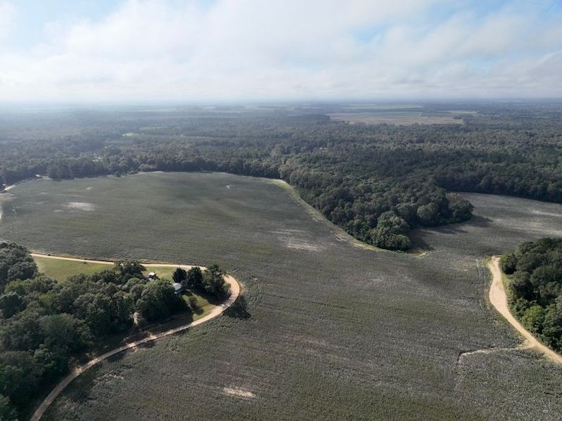 dji_fly_20251007_100720_218_1759846416765_photo