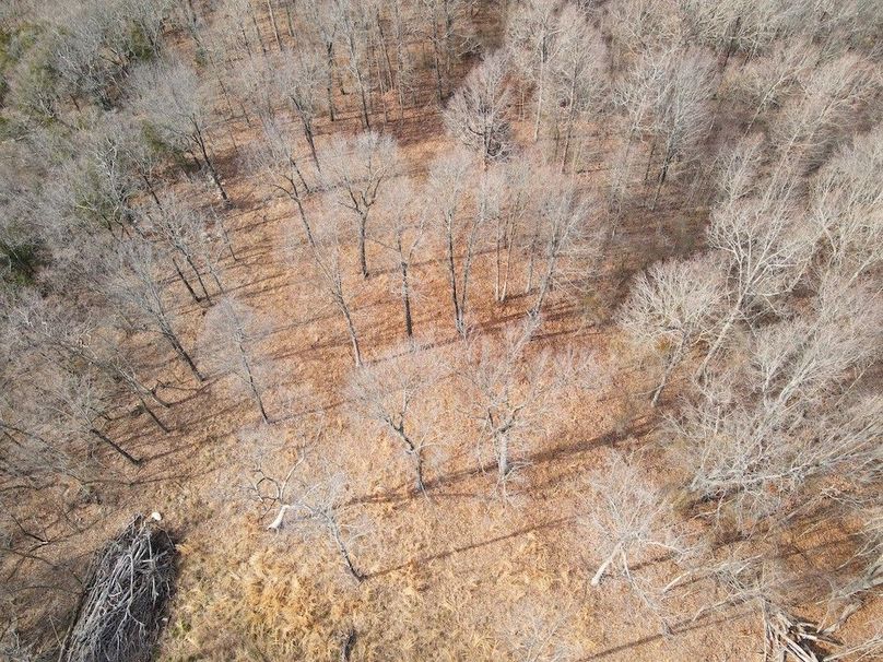DJI_0653