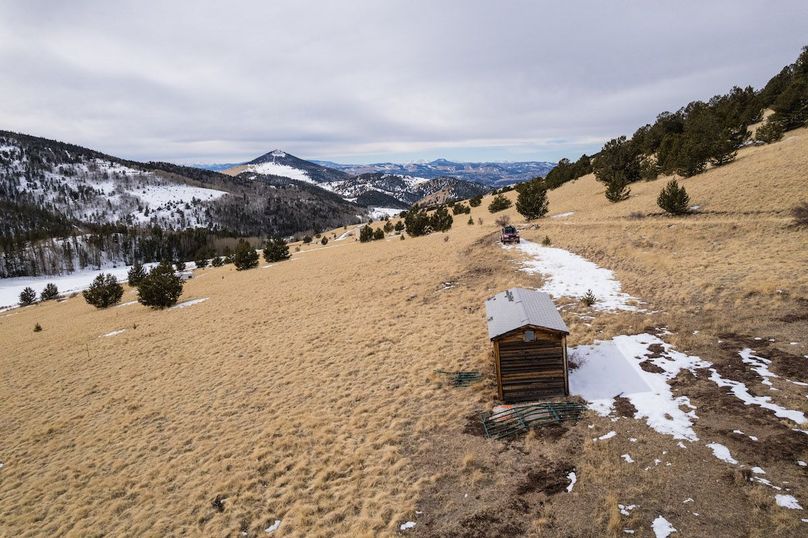 Teller Co 20.288 Bugbee - 02 Shed_Animal Site