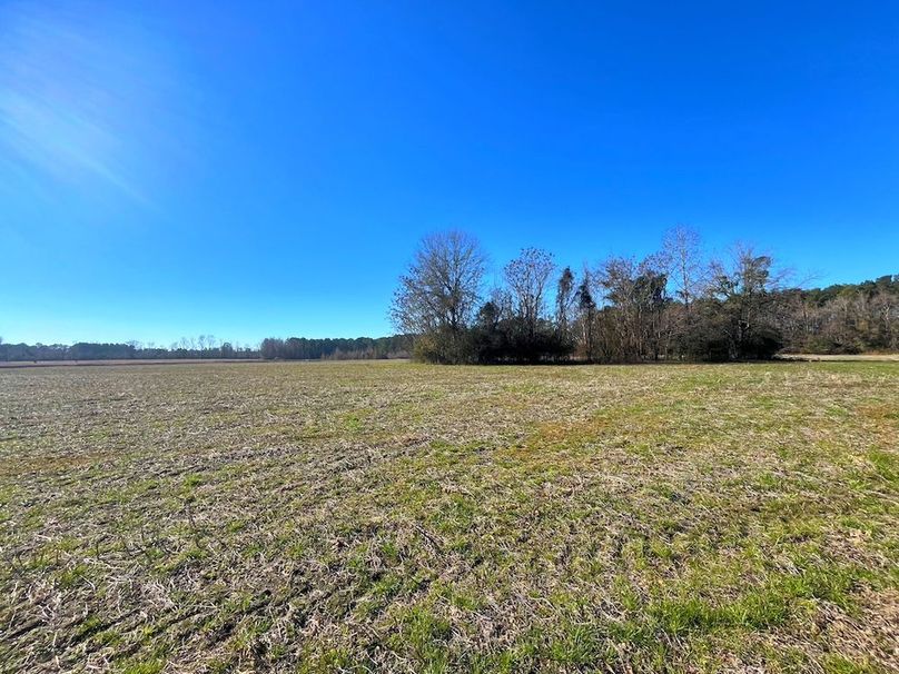 F3389D08-A450-4F40-B98B-271CEFA707E1