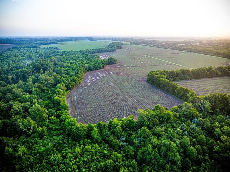 Copy of Noxubee 70 +- Tract 3-11