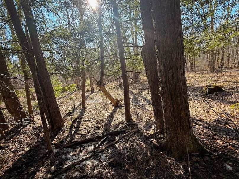 Oswego_16.32_Phillips Photo 11