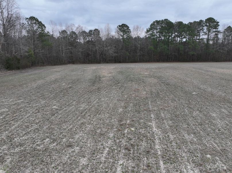 dji_fly_20260218_144734_0548_1772499962262_photo