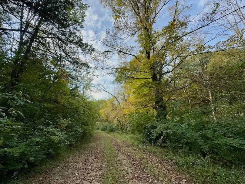 Richland 199Ground - 53