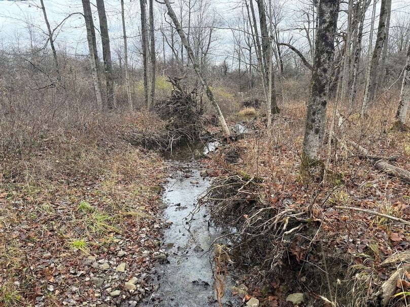 Tompkins_15.15_Galarza Photo 24