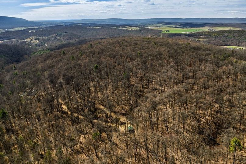 18-web-or-mls-IMG-18