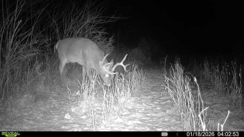 016579001744932-74-4-01182026040253-V-SYFW07383